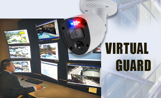Virtual Guards